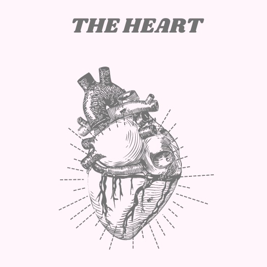 the heart