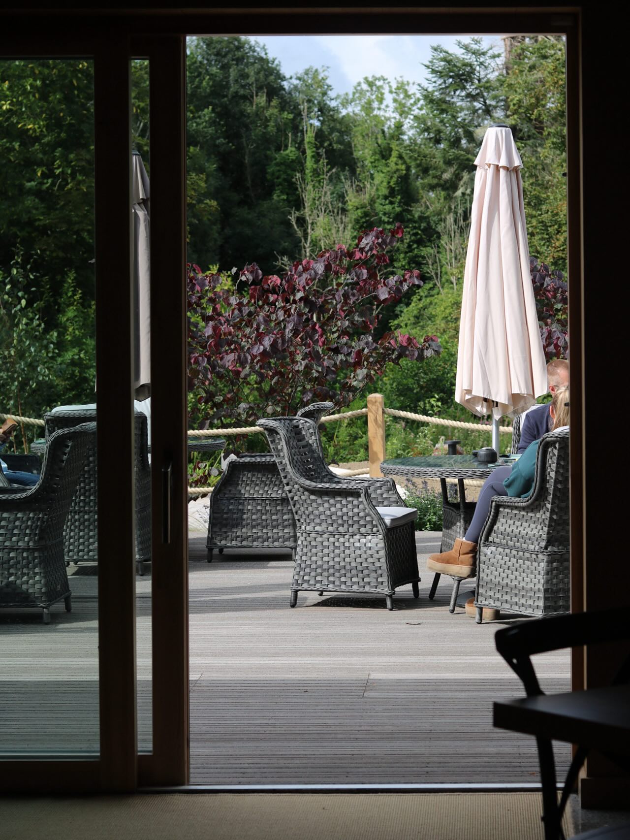 porch overlooking forest