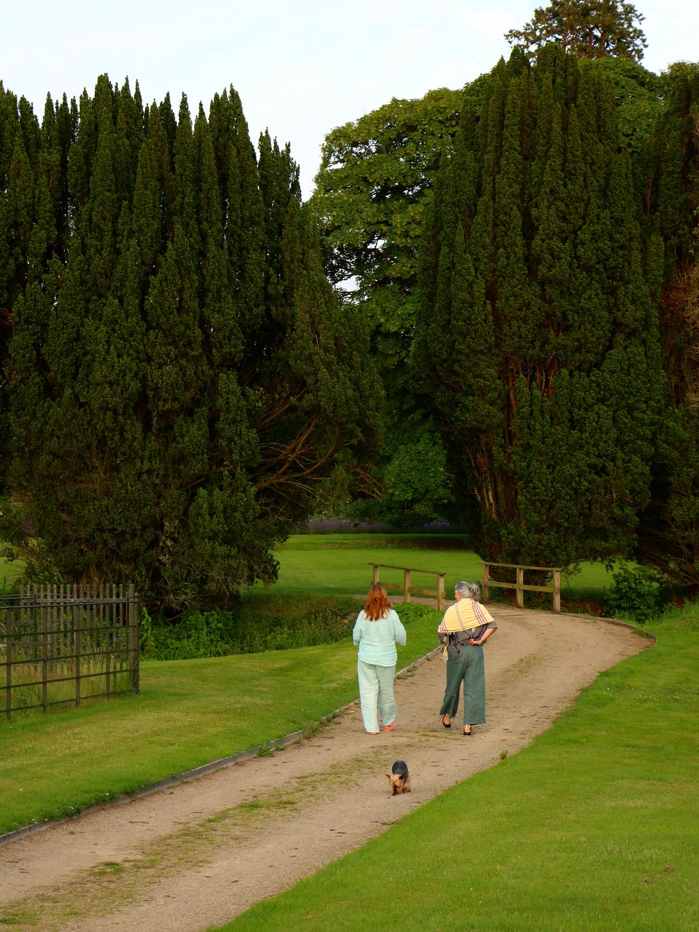 people walking along path