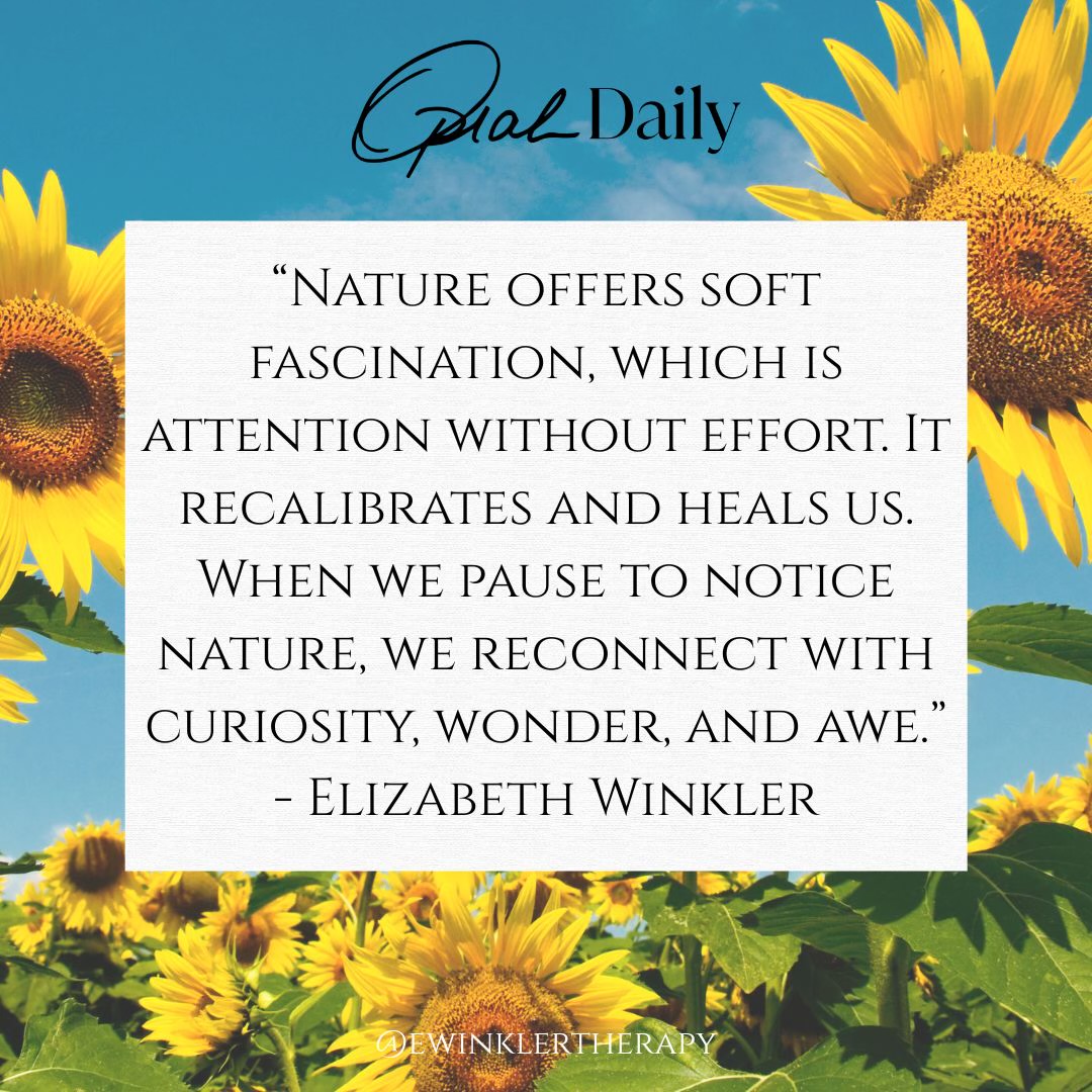 Nature offers comfort