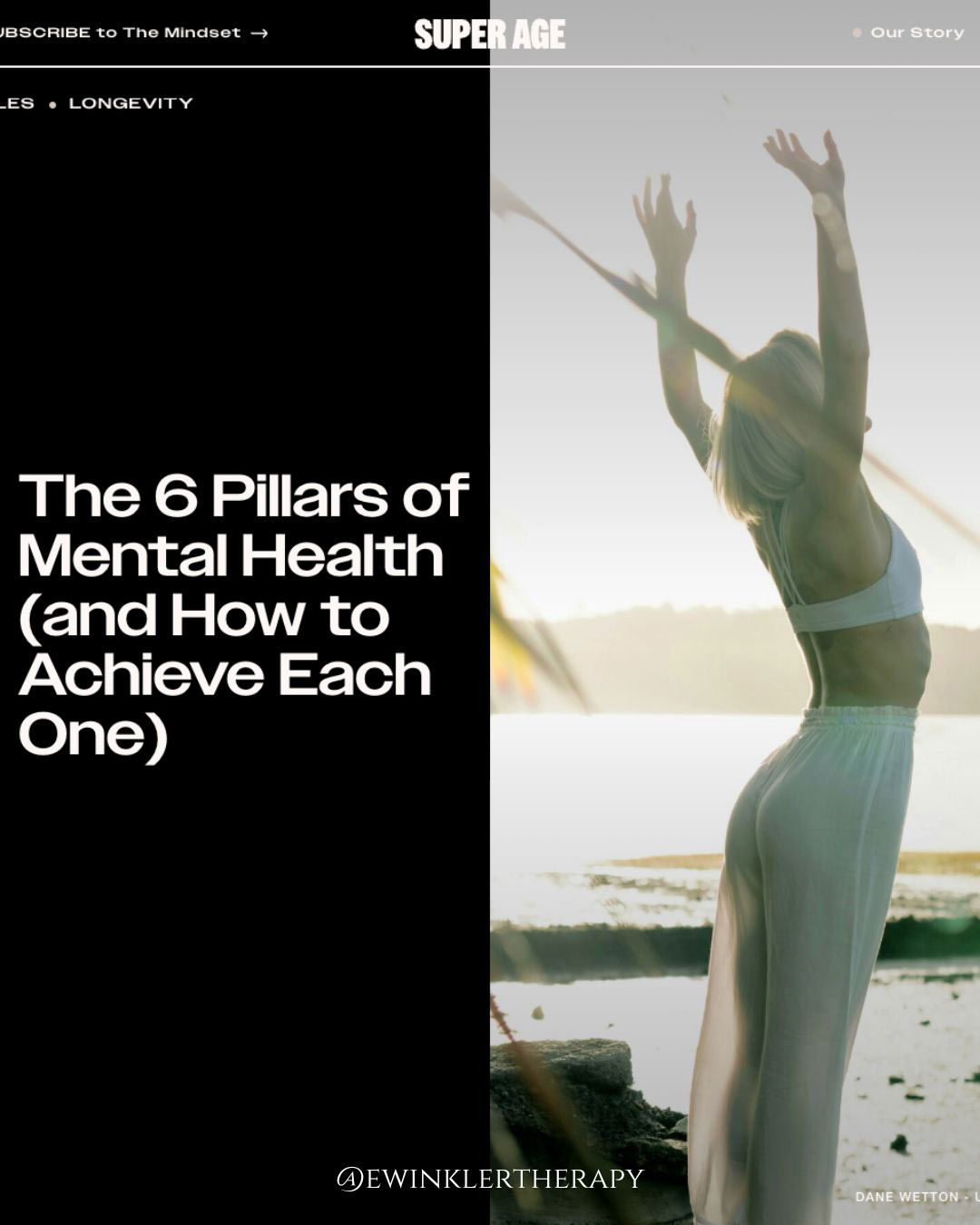 The 6 Pillars of Mental Health hero